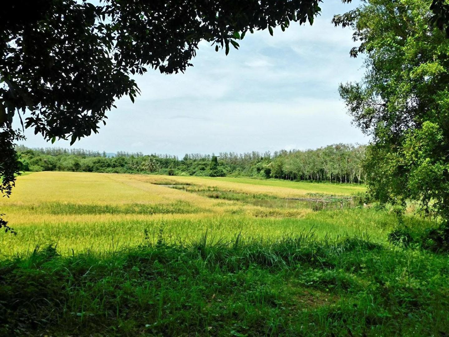 Swiss Bonihouse Koh Yao Yai Ban Pru Nai Exterior foto